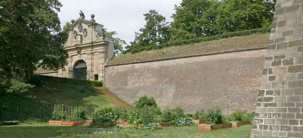 Vyšehrad – komunitní zahrada